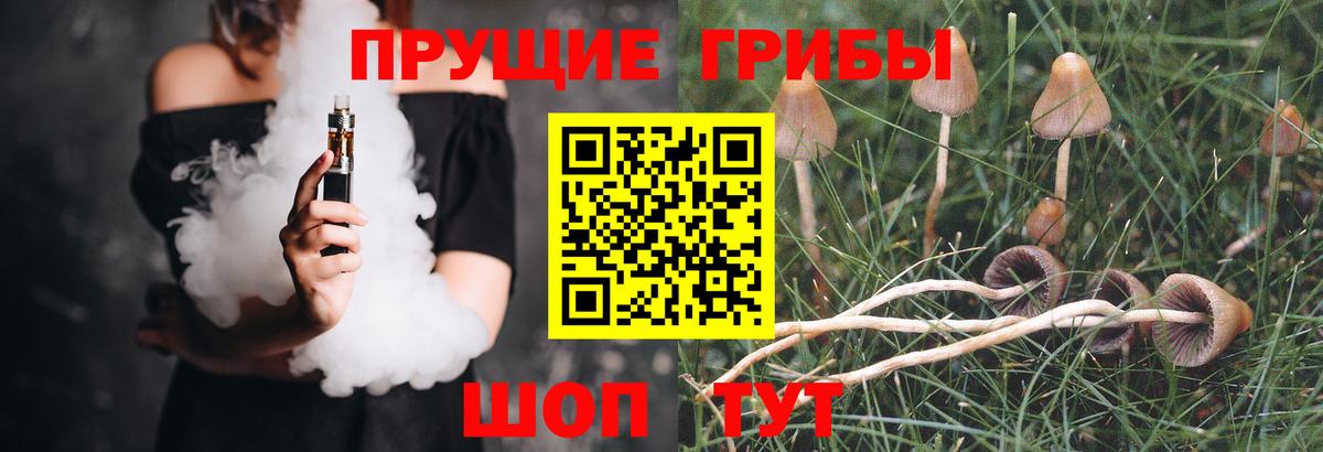 Петрозаводск  Псилоцибиновые грибы Magic Shrooms  Вход с VPN 